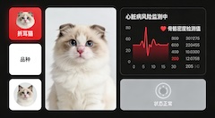 猫咪健康监测